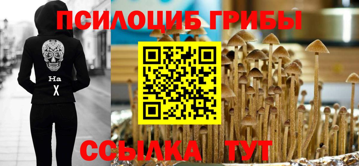 Псилоцибиновые грибы Magic Shrooms  Вход с VPN  Каменск-Шахтинский 