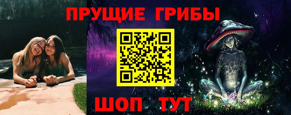 Галлюциногенные грибы Cubensis Каменск-Шахтинский